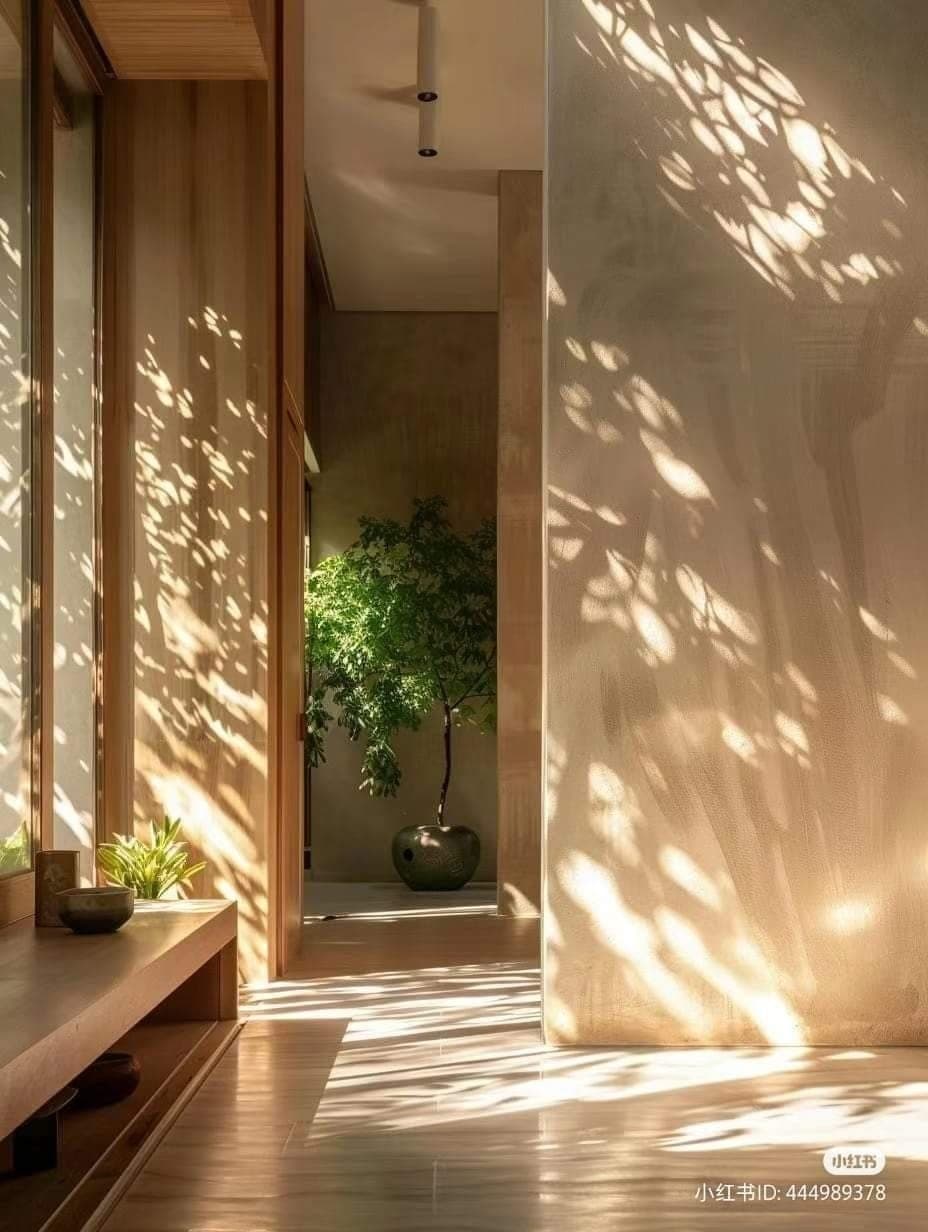 Leaf shadows falling across a calm, timber-lined corridor